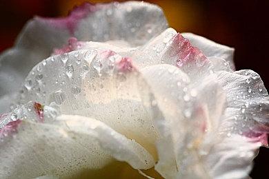 索尼宣布PlayStation工作室将继续致力于热门大作